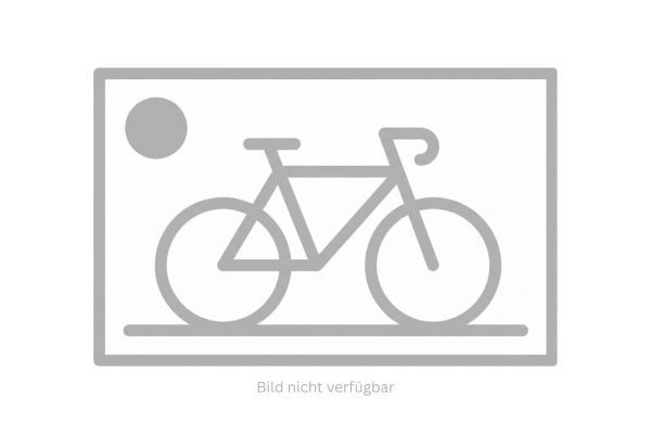 Haibike TREKKING 4 HIGH i720Wh 10-G Cues 24 HB YS2S GL_ocean/blk/chrome Rh L/50